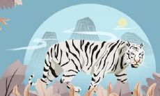 从十二生肖到星座:探究最令人背脊发凉的恐怖元素,处女座的真实恐怖面容!