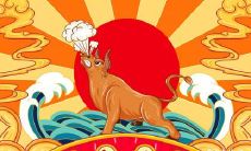 十二生肖中天生具有卓越才华和领袖气质的女性,成为众人瞩目的星座