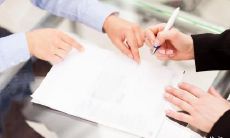 作最好?以猪为属相的人和以马为属相的人能否实现完美合作,并探究马与哪些属相更为相容?