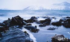 腊月为空房之谜:探析为何91年属羊者必须二婚?