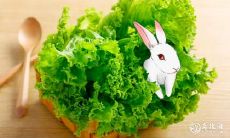 哪个生肖和上升星座具备天赋卓越的天生命运?