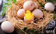 属鸡今年是否会遭遇桃花劫?如何判断桃花劫是否已经过去?