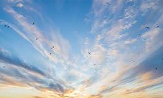 命中注定要依赖妻子谋财路的生肖男，天赐有着卓越经商头脑的生肖女成全发财梦想