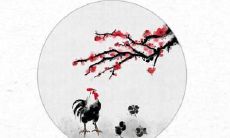 如何根据属鸡人的生辰八字合婚,以改善其婚姻和命运?