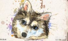 如何成为让水瓶座男持续心动的生肖女:揭秘水瓶座男在心动时的表现!