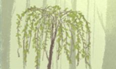 如何让水瓶座恋人从邪路回到正途？