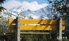 正月蛇洞:了解属蛇人的正缘以及第二次婚姻的意义,为什么要休息呢?