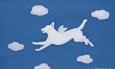 2004年生肖属猴者如何借助佩戴特定物品来招财旺财?本文提供最简单易懂的财运方法