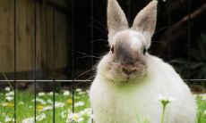 纵观十二生肖,这些深藏不露、拥有王者实力的星座女,在你高攀不起的范畴中!