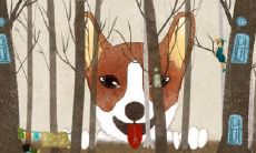 绝对不会背叛妻子的生肖男，即使双重桃花丛生，也不会娶两个女人！