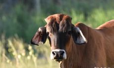 引发生肖女暴怒的星座男，即使动手打人也难以平息其愤怒之火