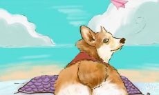 追忆往昔，复合重逢！重拾初恋情怀的十二星座与久别重逢的生肖