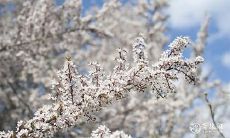 质朴低调的生肖女:她的幸运人生岁月长久