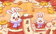 2023年有福之象的兔年宝宝,什么样的八字具备成为高官的潜质?