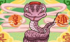 1969年出生的属鸡人:灾难年的出生对个人寿命的影响