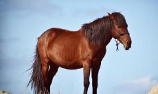 2023年,前四名婚姻结缘最佳的幸运者们,将迎来幸福之门的开启