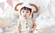 男猴和女狗生儿女属相合适吗?以92年女猴和94年男狗的婚姻为例,他们的相处如何呢?