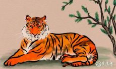 哪些生肖在凶猛程度上超越其他生肖?有哪个生肖敢挑战老虎?