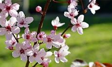 打造让男人束手无策的生肖女:成功男人最瞩目的迷人生肖女