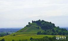 哪些生肖女有着宏观眼光与独当一面的应对能力,而哪些生肖女则以狡猾手段不断获利?