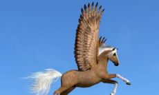 2023年属马者迎来双倍喜气缭绕，探究最赚钱的属马人生意经营攻略