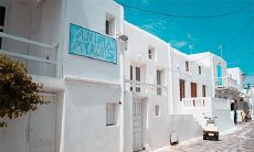 根据风水学,属牛的人在哪些方位有最佳的事业发展潜力?属牛的财神会出现在哪个方位?