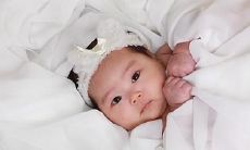 探究汉字底蕴:为女孩起名时应搭配哪些字,以“卉”字为例探讨