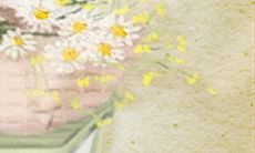 摩羯座的个性特质及其对爱情的影响:探究摩羯座如何表达、经营和体验爱情