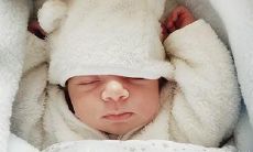 草字头上的可爱字女孩名字——又是一位招财进宝的草字头吉祥命名！