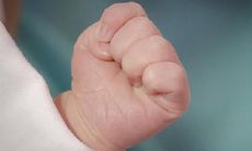 一千个字中带有草字头的女孩名单 - 探索草字头在女孩名字中的普遍使用情况