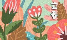 2023年正月十四立春的确切时间是什么?属相是否是根据立春而定,还是与春节有关?