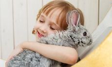 2023年属兔女孩应该取什么名字才最吉利?探究最受宠的名字和乳名!