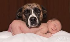 寻觅宝宝起名的灵感：探究勹字的各种变化及搭配匀字的可能性