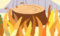 水瓶座男生在婚恋中的慷慨程度如何评价？