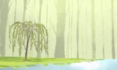 如何利用12星座的特质提升职场影响力?