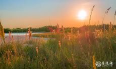 2023年4月21日和22日的社交活动安排适不适合安排一场相亲?