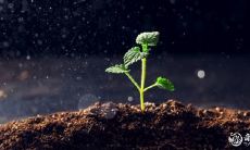 2023年4月19日和20日两天,针对出殡安排,哪一天是更为合适的选择?