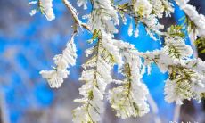 2023年4月21日和22日哪一日是更适合作为出殡日期的决策?