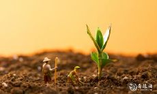 2023年4月17日或18日,针对出殡安排选哪天更为合适?