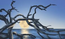 哪些星座不会因为金钱问题而破坏感情关系?