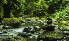 对于2023年4月23日和24日,哪一天是更适合进行出殡仪式的问题?