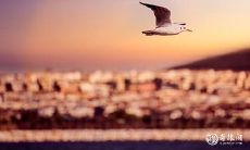 2023年4月5日或4月6日,哪一天更适合进行出殡仪式?