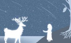 星座们,越来越远离我们真实的自我:探寻失实的星象之谜