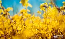 2023年4月3日和4日哪一天较为适宜用于举行殡葬仪式?