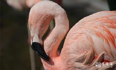 2023年兔年4月19日和20日是否适宜举办满月酒庆祝活动?