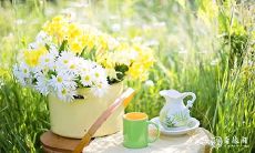 2023年兔年4月1日和4月2日是否适宜举办满月酒庆祝活动?