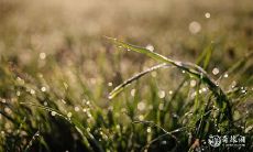 2023年兔年4月3日和4日是否适宜举办满月酒仪式的吉日?