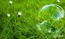 Save the Date: Mark Your Calendar for the Grand Opening of JiLiMa in March 29th and 30th, 2023!