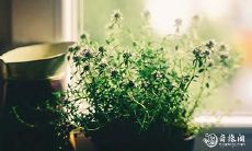 即将到来的2023年3月20日、21日,我们期待着盼星星盼月亮般的开张,不知好不好呢?