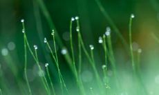 应该选择在2023年3月28日举办生日宴还是等到29日才举办会更好呢?